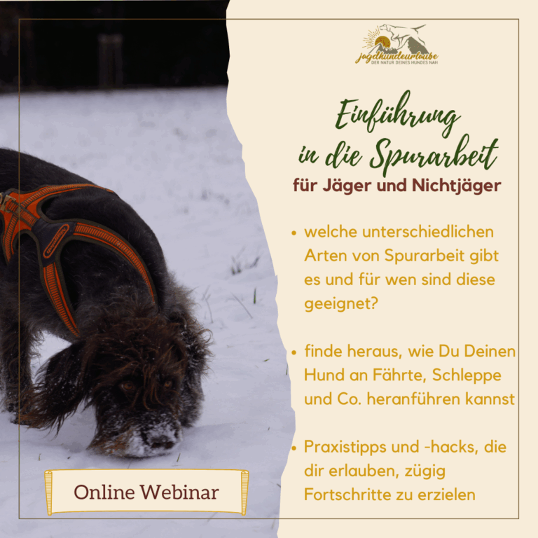 webinar aufzeichnung "auf der spur"
