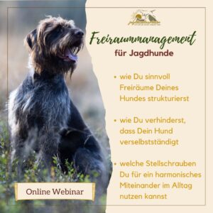 webinar aufzeichnung "auf und davon"