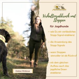 webinar aufzeichnung "auf abwegen"