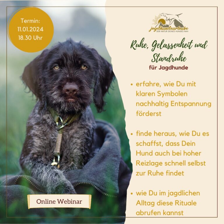 aufzeichnung webinar "immer mit der ruhe"