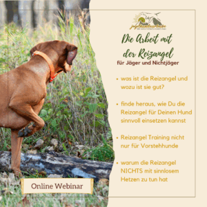 webinaraufzeichnung "die arbeit mit der reizangel"