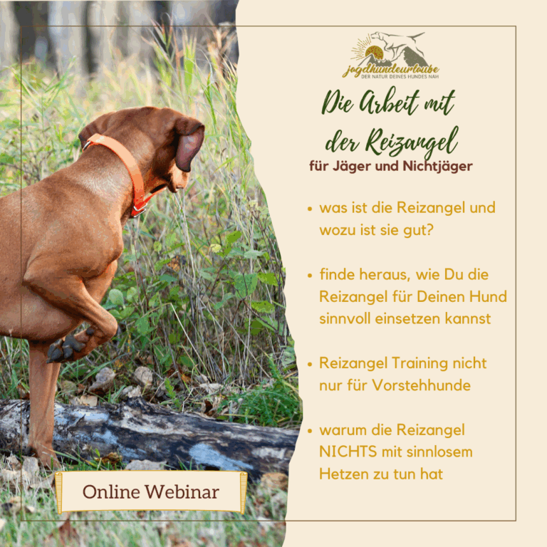 webinaraufzeichnung "die arbeit mit der reizangel"