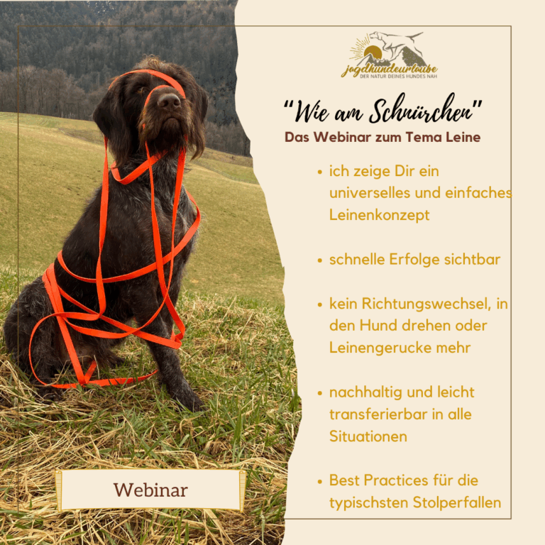 webinar aufzeichnung "wie am schnürchen"