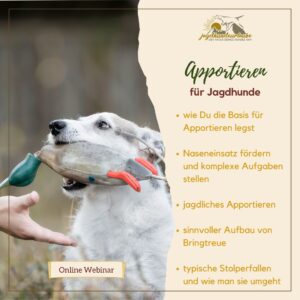 webinar aufzeichnung "suchen und apportieren"