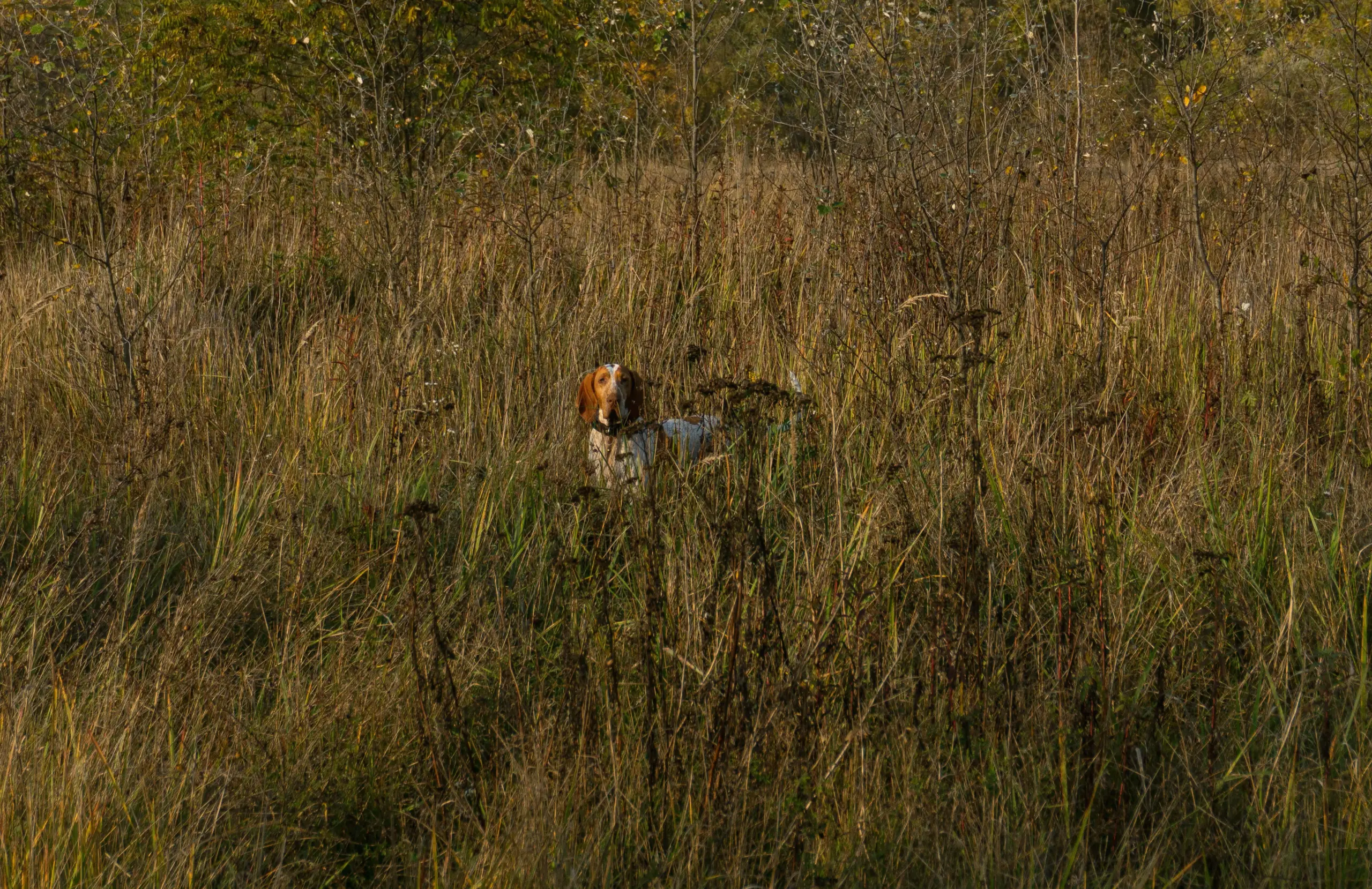 mykyta kondratov 3r5gflsp1y4 unsplash