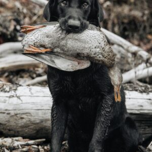 cole miller ul0vutyab9k unsplash(1)