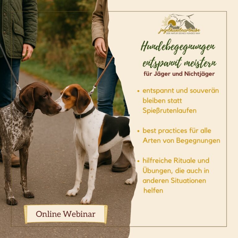 hundebegegnungen