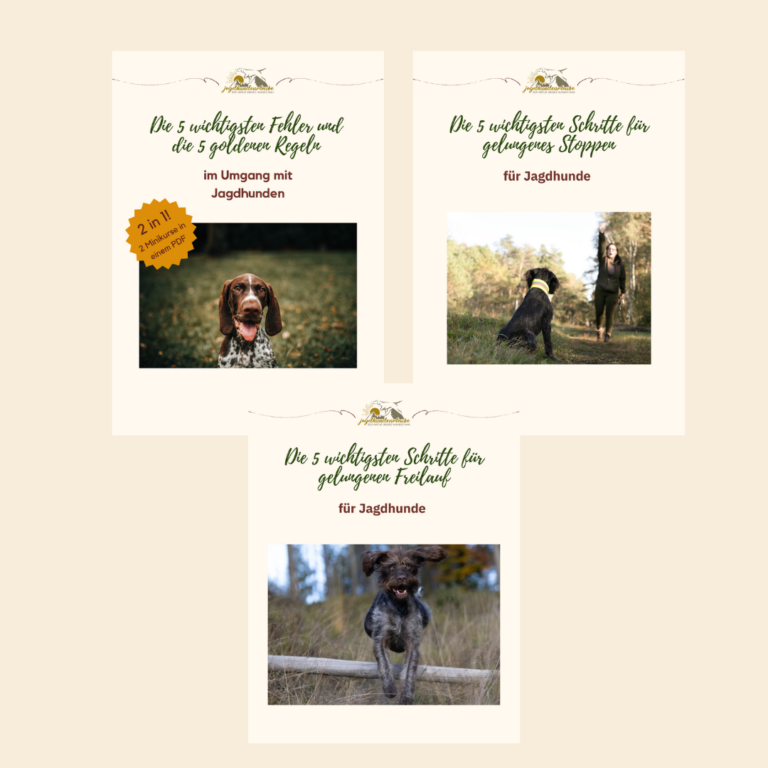 3er bundle:"die 5" die wichtigsten tipps für stoppen, freilauf und jagdhundehaltung
