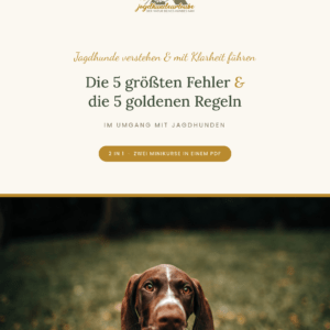 deckblatt 2 in 1 – neu