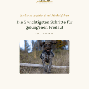 deckblatt freilauf – neu