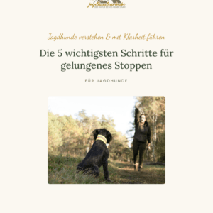 deckblatt stoppen – neu