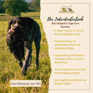 der individualurlaub
