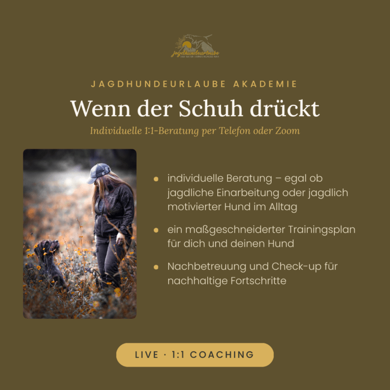 Produktkachel 1:1 Coaching für Jagdhundeführer