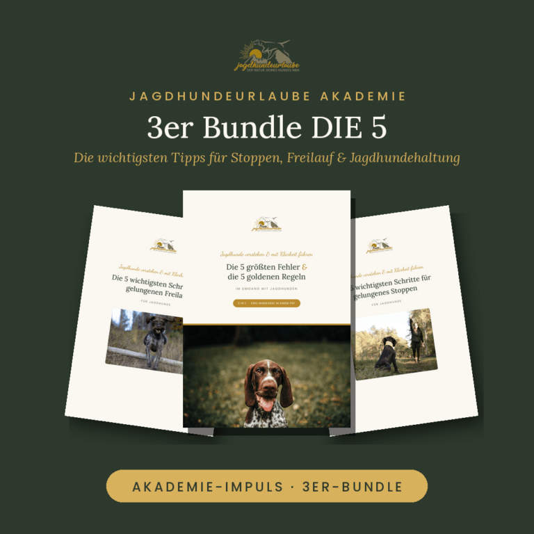 Produktkachel 3er-PDF-Bundle DIE 5 – Tipps für Stoppen, Freilauf und Jagdhundehaltung