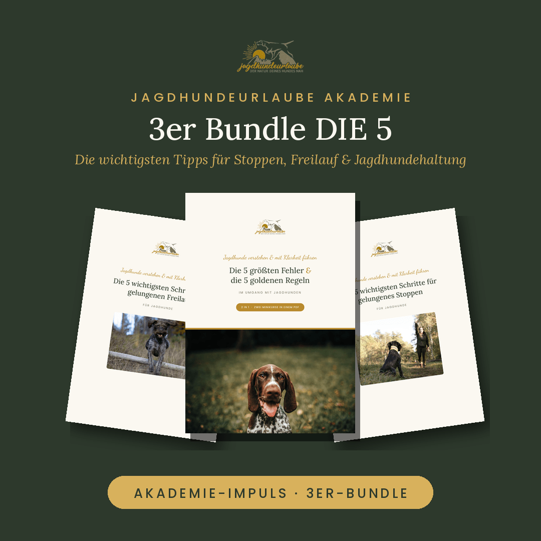 „Anti-Jagdtraining“ beim Hund – was wirklich funktioniert Produktkachel 3er-PDF-Bundle DIE 5 – Tipps für Stoppen, Freilauf und Jagdhundehaltung