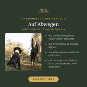 Produktkachel Video-Kurs Auf Abwegen – Verhaltensabbruch und Stoppen für Jagdhunde