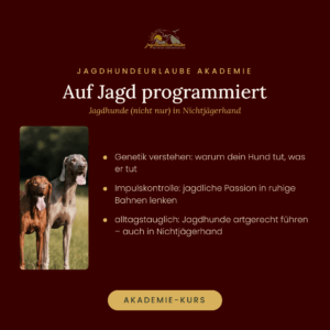 Produktkachel Online-Kurs Auf Jagd programmiert – Jagdhunde in Nichtjägerhand