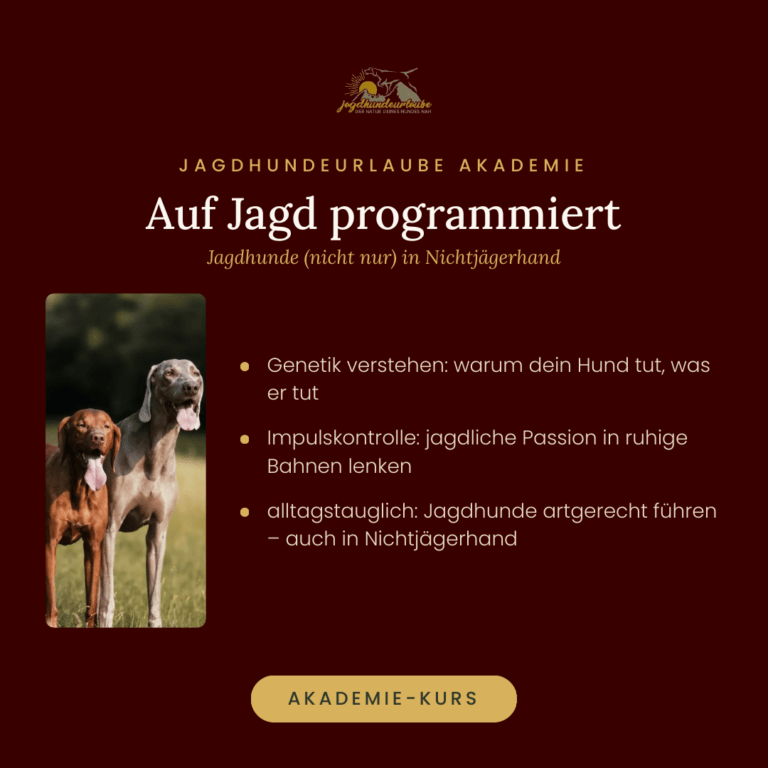 Produktkachel Online-Kurs Auf Jagd programmiert – Jagdhunde in Nichtjägerhand