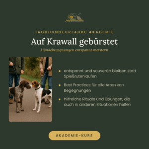 Produktkachel Video-Kurs Auf Krawall gebürstet – Hundebegegnungen entspannt meistern