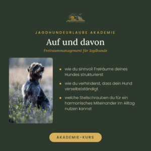 Produktkachel Video-Kurs Auf und davon – Freiraummanagement für Jagdhunde