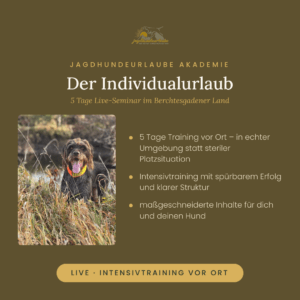 Produktkachel Individualurlaub – 5 Tage Einzeltraining für Jagdhunde im Berchtesgadener Land