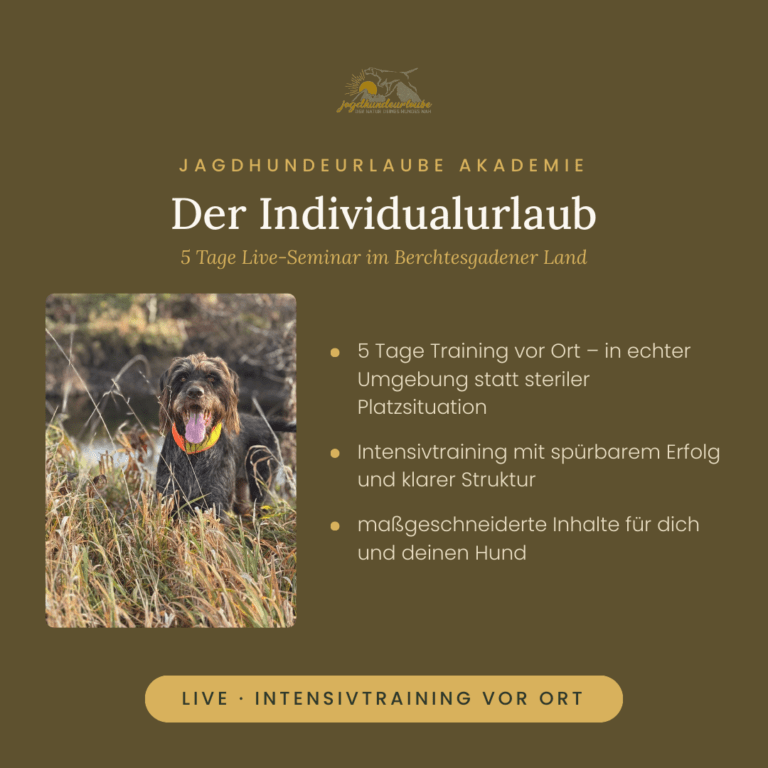 Produktkachel Individualurlaub – 5 Tage Einzeltraining für Jagdhunde im Berchtesgadener Land