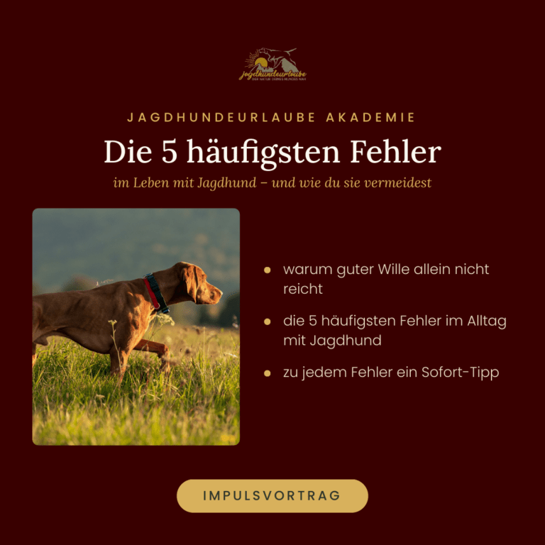 Produktkachel Impulsvortrag: Die 5 häufigsten Fehler im Leben mit Jagdhund