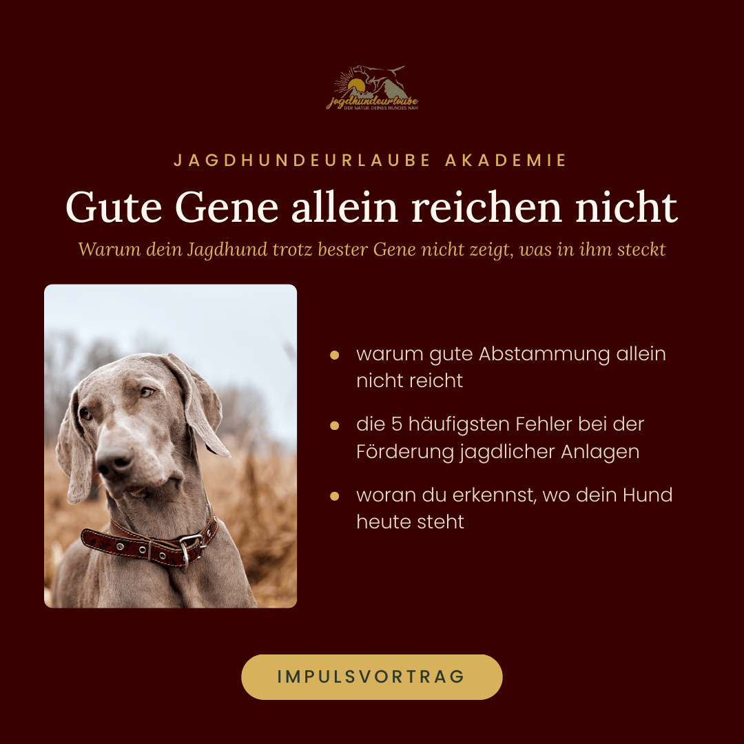 Produktkachel Impulsvortrag: Warum gute Gene allein keinen guten Jagdhund machen