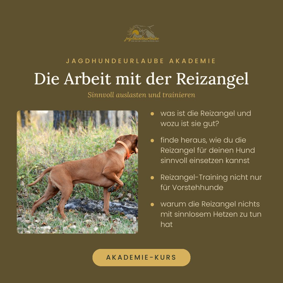 Produktkachel Webinar Die Arbeit mit der Reizangel