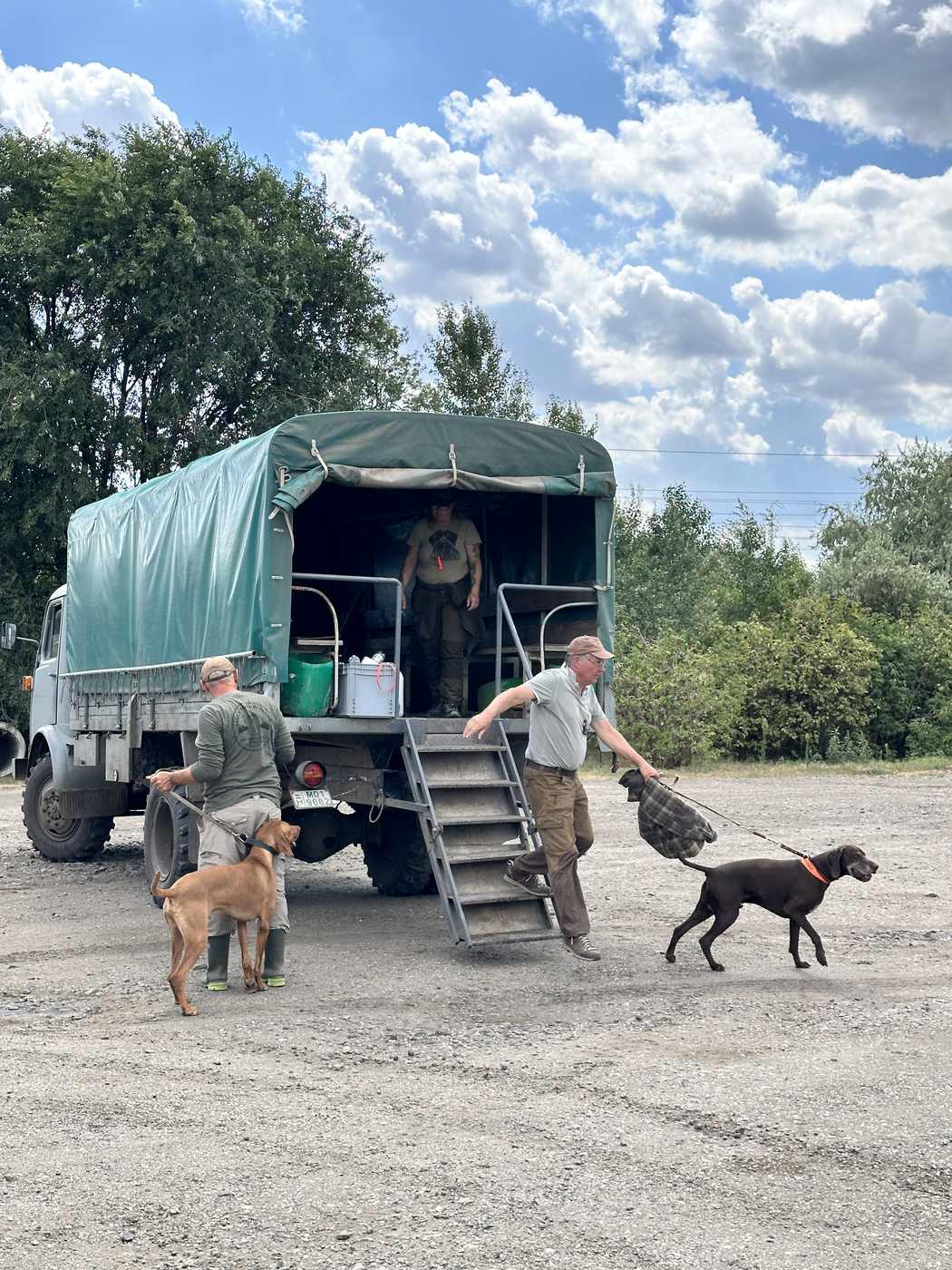 Jagdhundetraining in Ungarn: was eine Woche im Feld wirklich bewegt Jagdhunde werden am Geländefahrzeug für die nächste Trainingseinheit in Ungarn bereitgemacht