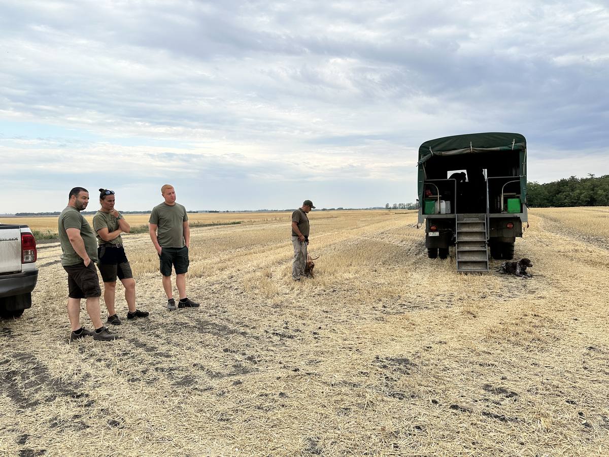 Jagdhundetraining in Ungarn: was eine Woche im Feld wirklich bewegt Kleingruppe beim Jagdhundetraining auf einem abgeernteten Feld in Ungarn neben dem Mannschaftsfahrzeug