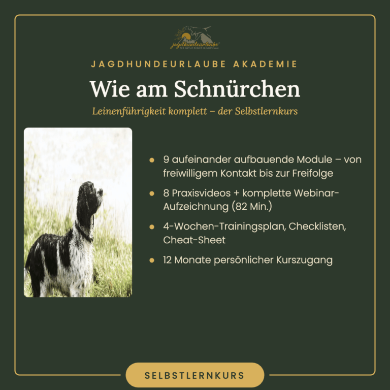 Home Akademie Wie Am Schnuerchen Selbstlernkurs Final 768x768