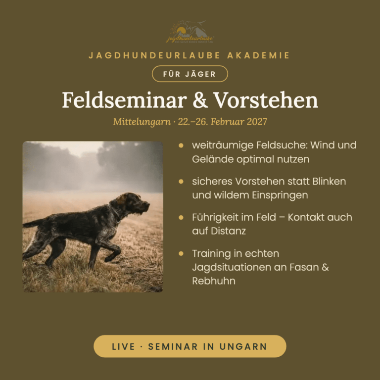 Feldseminar und Vorstehen in Mittelungarn, 22.–26. Februar 2027