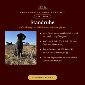 Standruhe – Aufzeichnung des Webinars, Akademie-Kurs der Jagdhundeurlaube Akademie