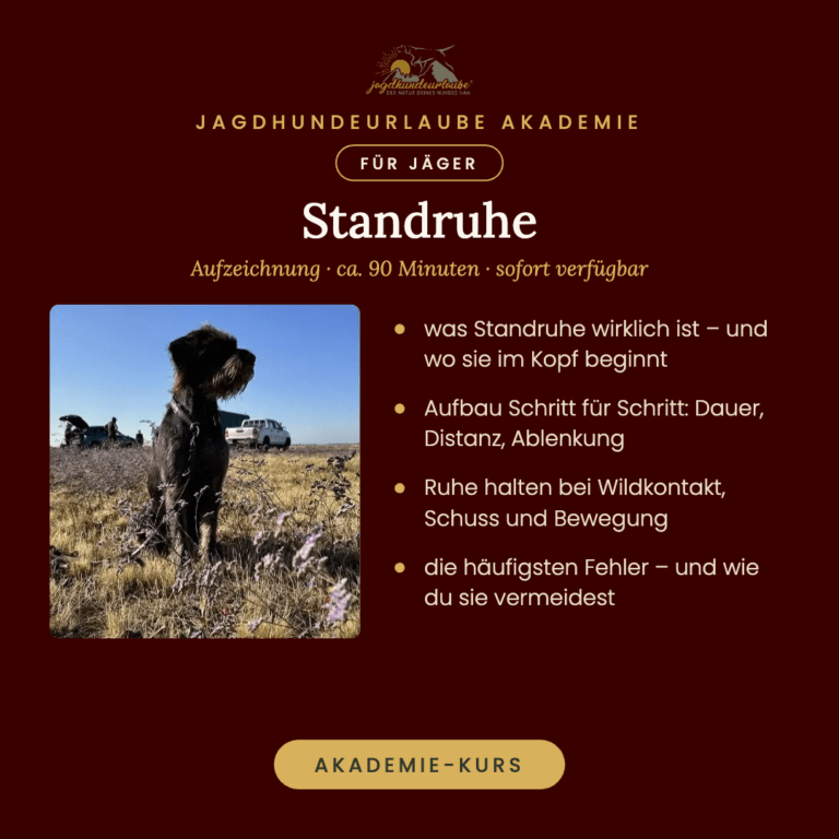 Home Standruhe Aufzeichnung Akademie Kurs 768x768