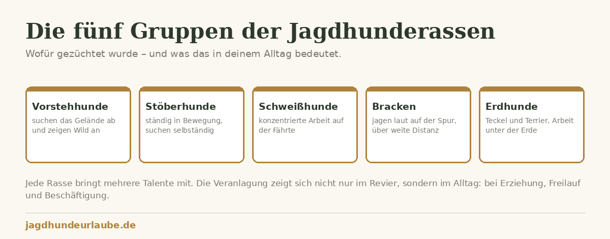 Jagdhunderassen im Vergleich: welcher Jagdhund passt zu dir? Schaubild der fünf Gruppen: Vorstehhunde, Stöberhunde, Schweißhunde, Bracken und Erdhunde mit ihrer jeweiligen Arbeitsweise