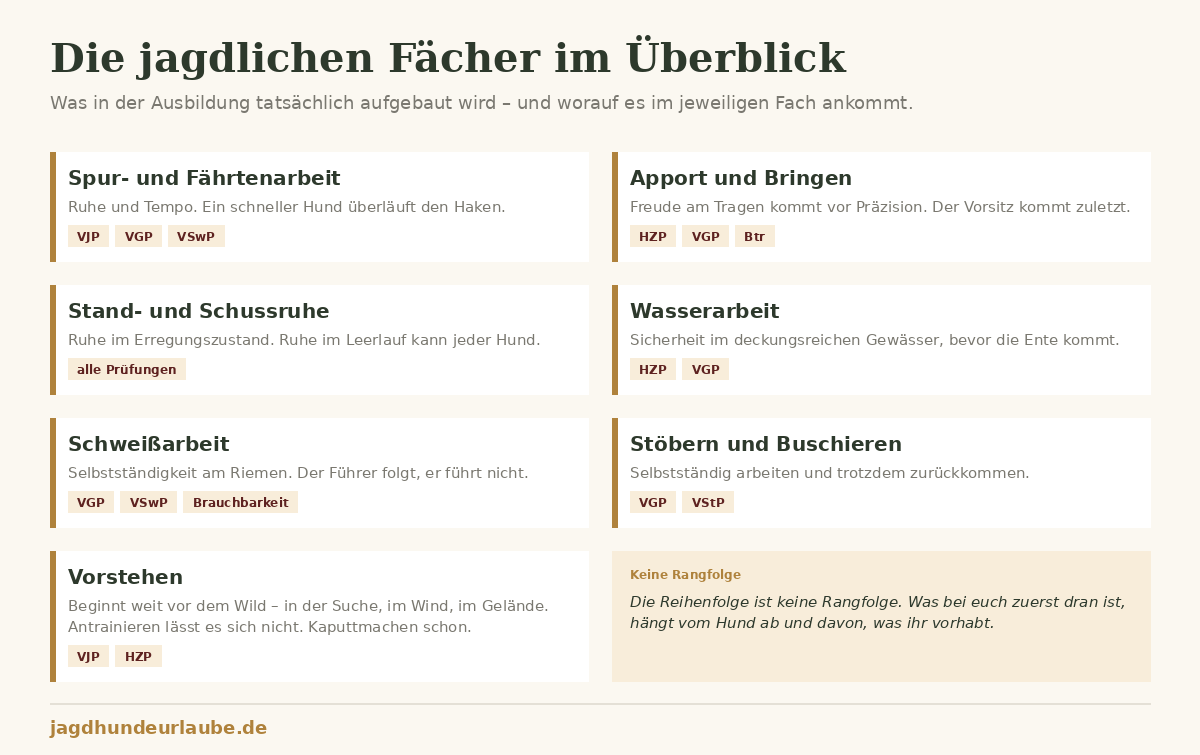 Schaubild die jagdlichen Fächer: Fährtenarbeit, Apport, Standruhe, Wasserarbeit, Schweißarbeit, Stöbern, Vorstehen und ihre Prüfungen