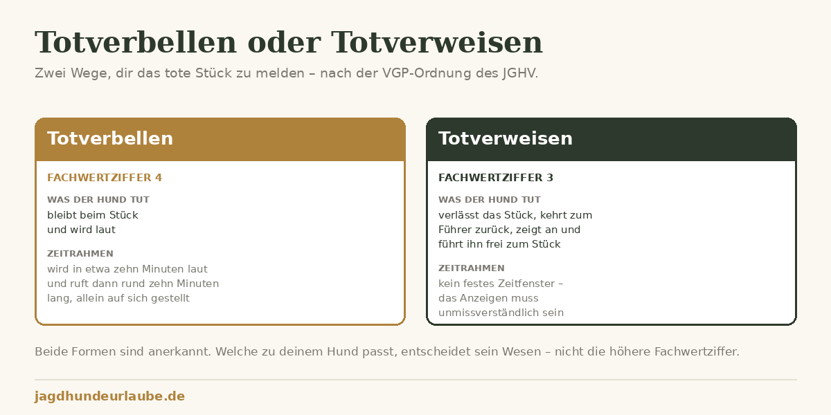 Totverbeller oder Totverweiser: was zu deinem Hund passt Schaubild Totverbellen gegen Totverweisen nach der VGP-Ordnung des JGHV mit Fachwertziffern und Zeitrahmen