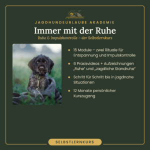 Immer mit der Ruhe – Selbstlernkurs der Jagdhundeurlaube Akademie: Ruhe und Impulskontrolle für Jagdhunde