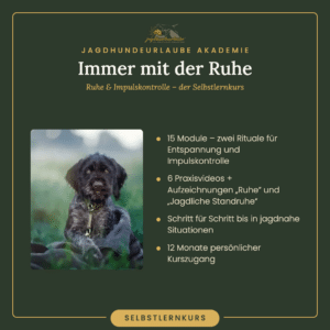 Home Produktkachel Immer mit der Ruhe – Ruhe & Impulskontrolle – der Selbstlernkurs