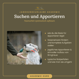 Home Produktkachel Suchen und Apportieren – Nasenarbeit systematisch aufbauen