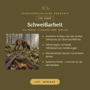 Schweißarbeit – Live-Webinar am 11. November 2026