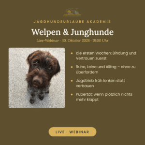 Welpen & Junghunde – Live-Webinar am 30. Oktober 2026
